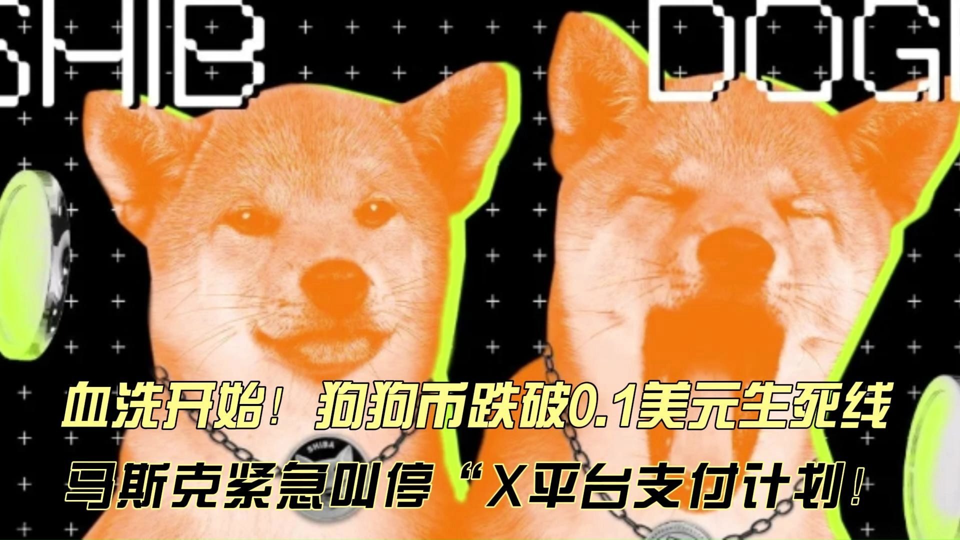 马斯克再次发推，狗狗币瞬间上上扬10.8%
